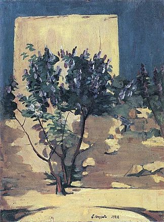 淡紫色灌木丛 A lilac bush (1922)，马蒂罗斯