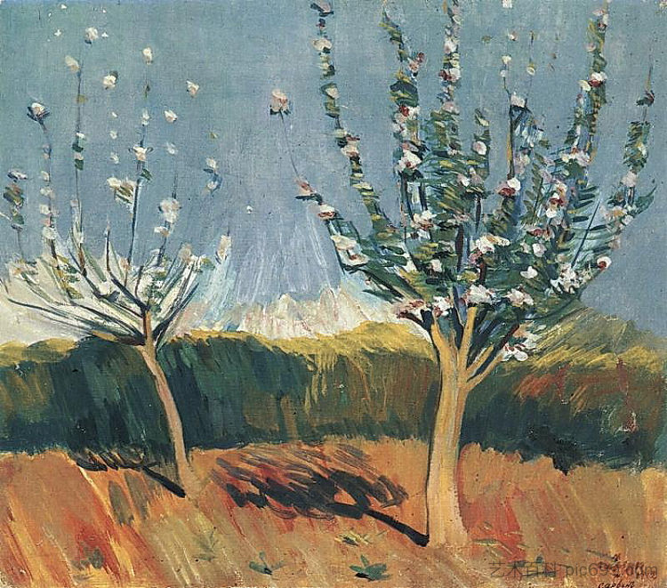 开花的苹果树 Apple trees in blossom (1912)，马蒂罗斯