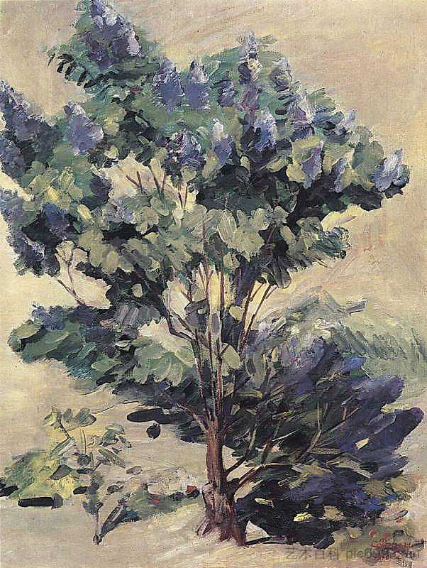 紫丁香 Lilac (1940; Armenia  )，马蒂罗斯