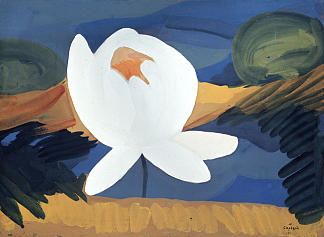 莲花 Lotus (1911)，马蒂罗斯