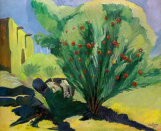 榴 Pomegranate (1930)，马蒂罗斯