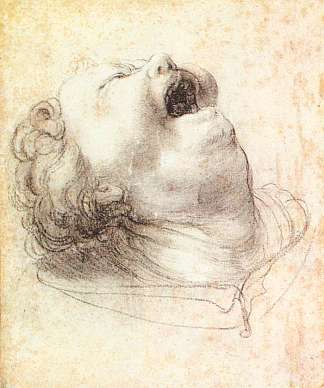 一个喊叫的人的头 Head of a Shouting Man (c.1520)，马蒂亚斯·格吕内瓦尔德