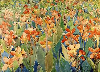 花床（也称为大麻或花园） Bed of Flowers (also known as Cannas or The Garden) (c.1899)，莫里斯·普雷德加斯特