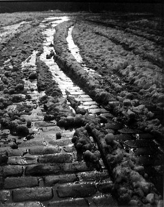 鹅卵石和雪 Cobblestones and Snow (1931)，莫里斯·塔巴德