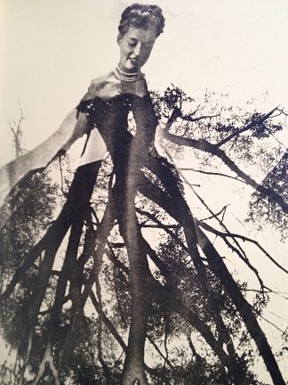 行走的树 The Walking Tree (1947)，莫里斯·塔巴德