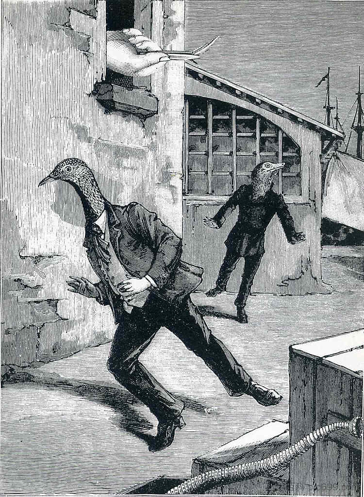 “仁慈的一周”插图 Illustration to "A Week of Kindness" (1934; Paris,France ),马克斯·恩斯特