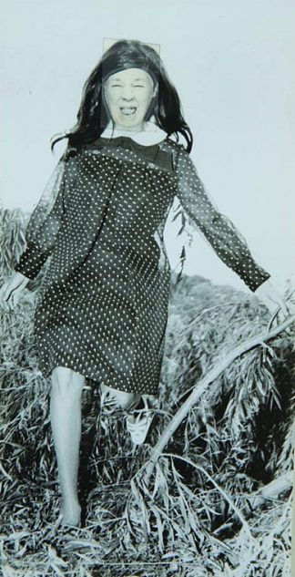 荒谬的肖像（波点连衣裙） Ridiculous Portrait (Polka Dot Dress) (1972)，梅·威尔森