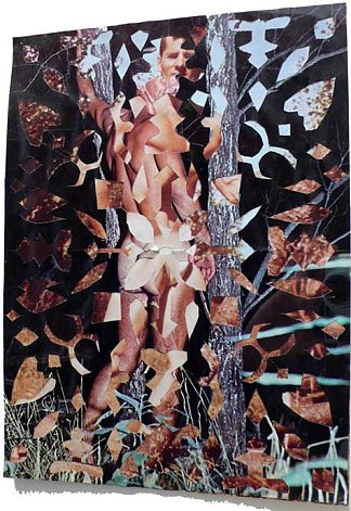 雪花拼贴画（树林中的男性裸体） Snowflake Collage (Male Nude in Woods) (1966)，梅·威尔森