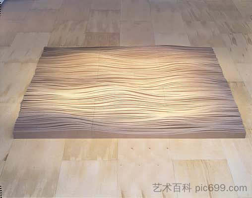 地形景观 Topographic Landscape (1997)，林玛雅