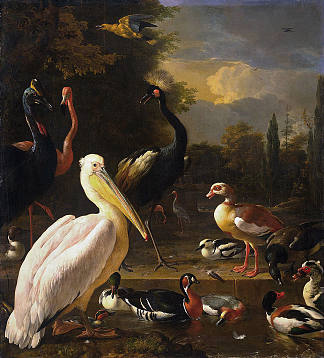 池边的鹈鹕和其他鸟类（漂浮的羽毛） A Pelican and Other Birds Near a Pool (The Floating Feather) (1680)，梅尔希奥·洪德库特尔