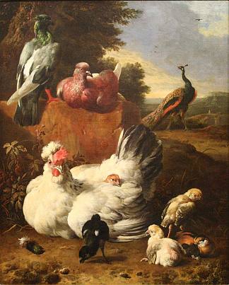 白母鸡 La poule blanche (1670)，梅尔希奥·洪德库特尔