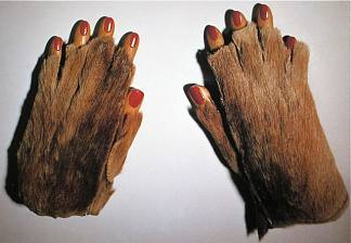 木指毛皮手套 Fur Gloves with Wooden Fingers (1936)，梅拉·奥本海姆
