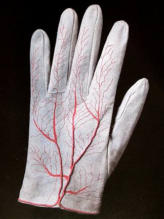 一副手套（详细） Pair of Gloves (detail) (1985)，梅拉·奥本海姆