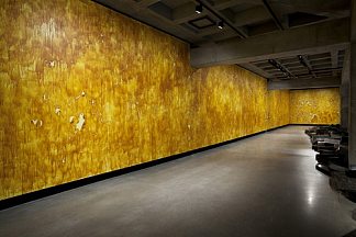 薄膜墙 Mur de pellicules (2002)，米歇尔·布拉齐