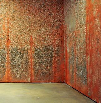 胡萝卜毛墙 Mur de poils de carotte (2000)，米歇尔·布拉齐
