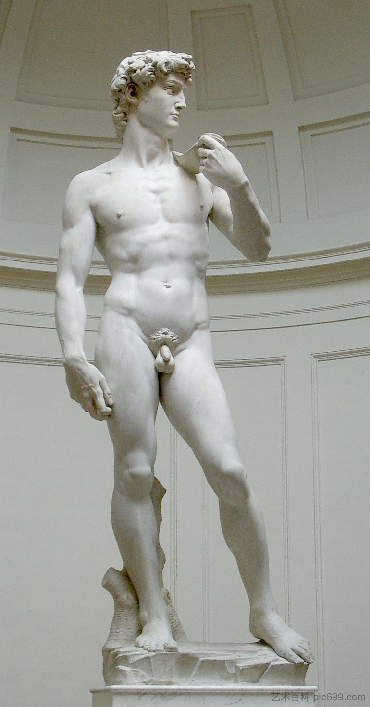 大卫 David (1501 - 1504; Florence,Italy  )，米开朗基罗