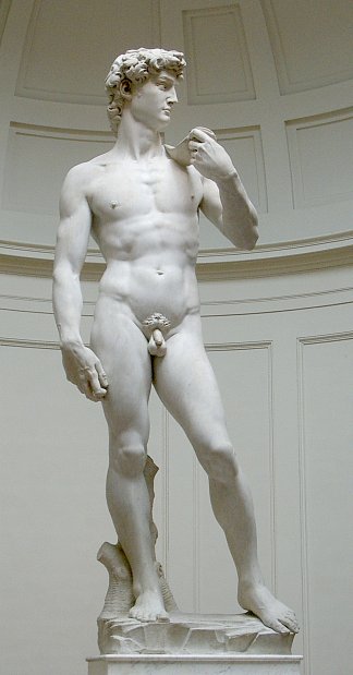 大卫 David (1501 – 1504; Florence,Italy                     )，米开朗基罗