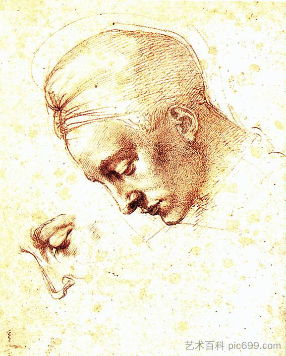 头 Head (1530; Italy  )，米开朗基罗