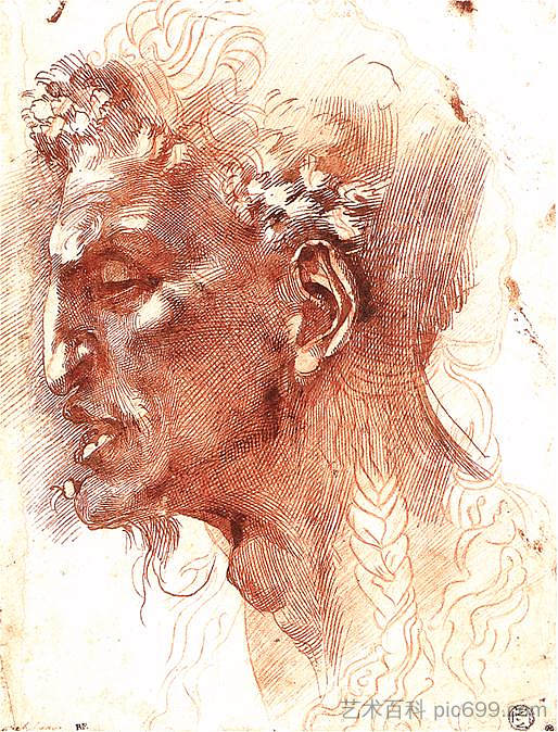 色狼的头 Satyr's Head，米开朗基罗