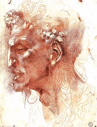 色狼的头 Satyr’s Head，米开朗基罗