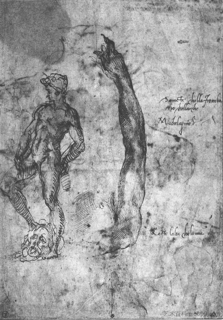 研究大理石大卫的手臂和青铜大卫的形象 Study for an arm of the marble David and the figure of the bronze David (c.1503; Florence,Italy  )，米开朗基罗