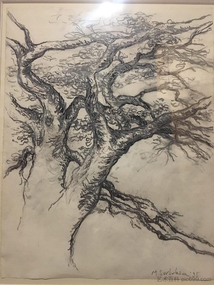 老树 Old tree (1995)，米哈伊·萨布莱斯库