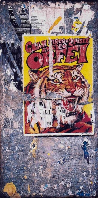 奥尔菲（老虎） Orfei (La Tigre) (1990)，米莫·罗泰拉