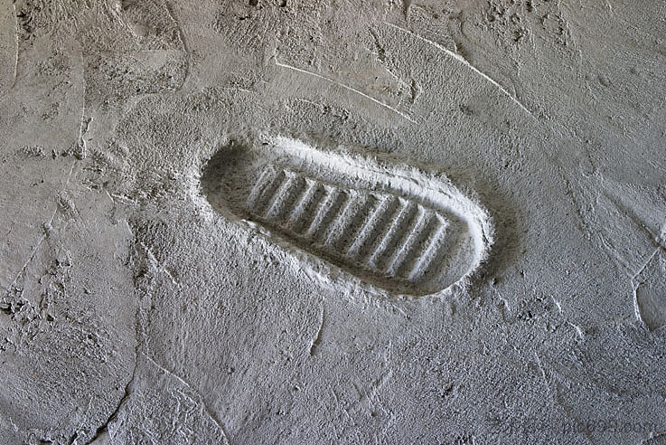 第二步 The Second Step (2005)，米尔恰·康托尔