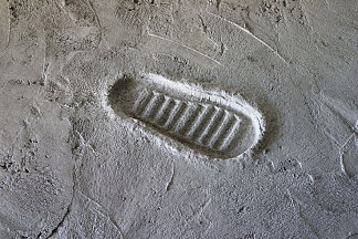 第二步 The Second Step (2005)，米尔恰·康托尔