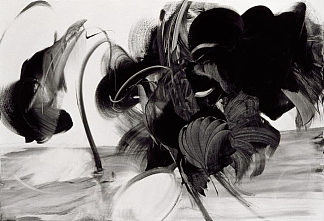 象牙黑三 Noir d’ivoire III (2008)，莫妮克奥尔西尼