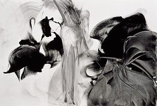 象牙黑IV Noir d’ivoire IV (2008)，莫妮克奥尔西尼