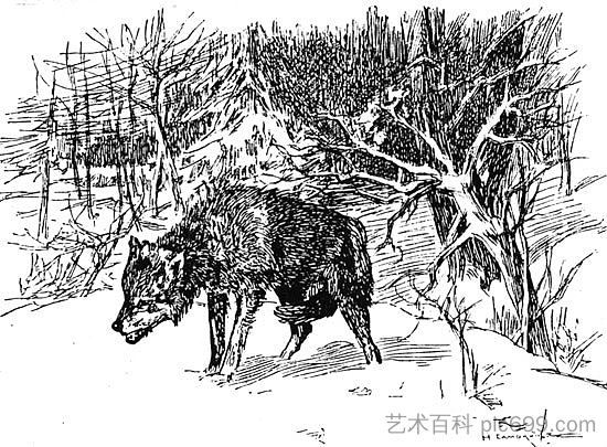 狼 Wolf (1896)，米科拉·萨莫基什