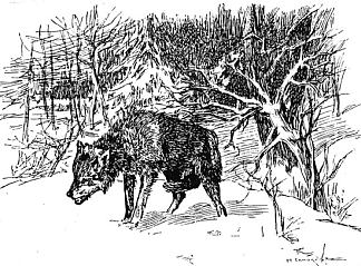 狼 Wolf (1896)，米科拉·萨莫基什