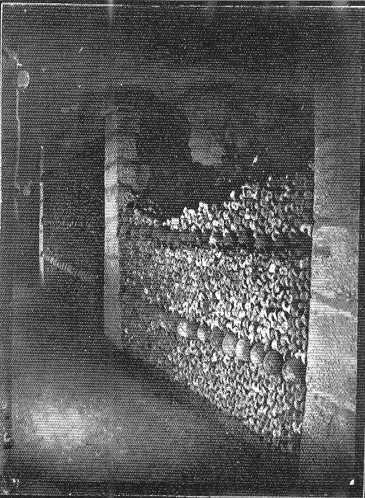 巴黎地下墓穴 Catacombes De Paris (1861)，菲利克斯·纳达尔