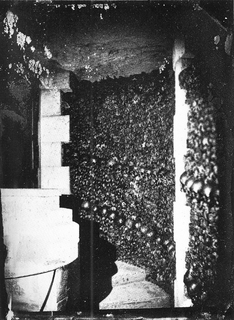 巴黎地下墓穴 Catacombes De Paris (1861)，菲利克斯·纳达尔