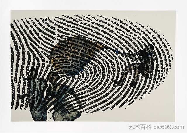 身份的局限性 Limits of Identity (2009)，纳利尼·马拉尼