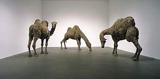 骆驼 Camels (1969)，南锡·格雷夫斯