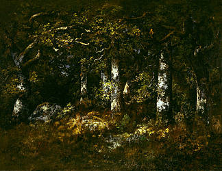 枫丹白露森林 Forest of Fontainebleau (1868)，纳尔西斯·维尔日勒·迪亚