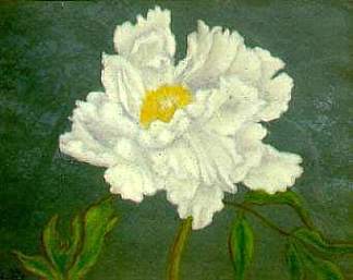 牡丹 Tree Peony (1941)，瑞香