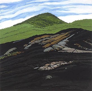 蓝莓烧莫雷山 Blueberry Burn Morey’s Hill (1997)，尼尔·韦利弗