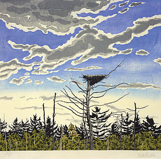 鱼鹰巢 Osprey’s Nest (1979 – 1980)，尼尔·韦利弗