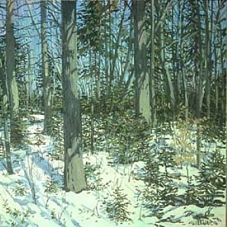 小云杉研究 Study for Little Spruce (1985)，尼尔·韦利弗