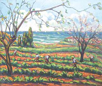 田野工作（格里莫的风景） Field Work (Landscape from Grimaud) (1911)，尼古拉·达拉斯库