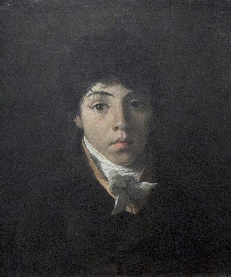 年轻的特奥多罗·陶内肖像 Portrait of the Young Teodoro Taunay,尼古拉斯·安托万·陶内
