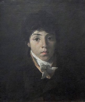 年轻的特奥多罗·陶内肖像 Portrait of the Young Teodoro Taunay，尼古拉斯·安托万·陶内