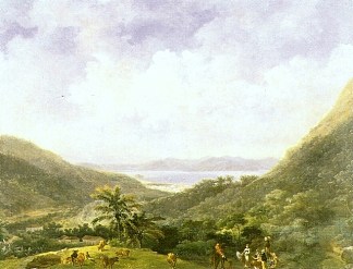 从蒂茹卡山脉眺望里约热内卢湾 View of Rio De Janeiro Bay from the Mountains in Tijuca (c.1820)，尼古拉斯·安托万·陶内