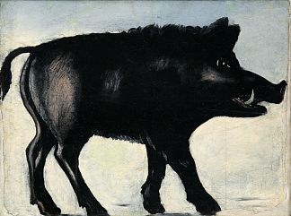 野猪 Boar，皮罗斯马尼