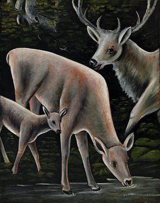 水潭里的鹿家族 Deer family at waterhole，皮罗斯马尼