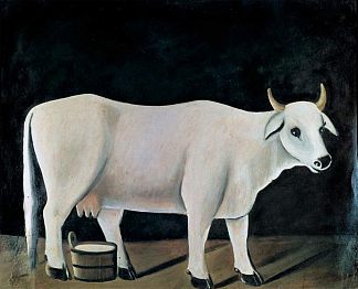 黑色背景上的白色奶牛 White cow on a black background，皮罗斯马尼