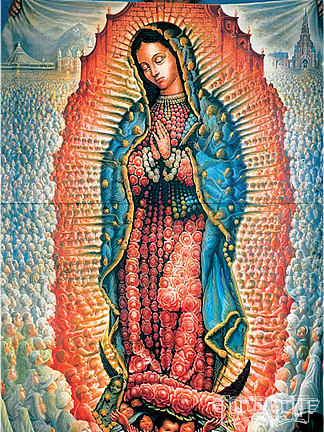 瓜达卢佩夫人 Lady Guadalupe，奥坎波